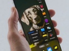 Apple iOS 18
