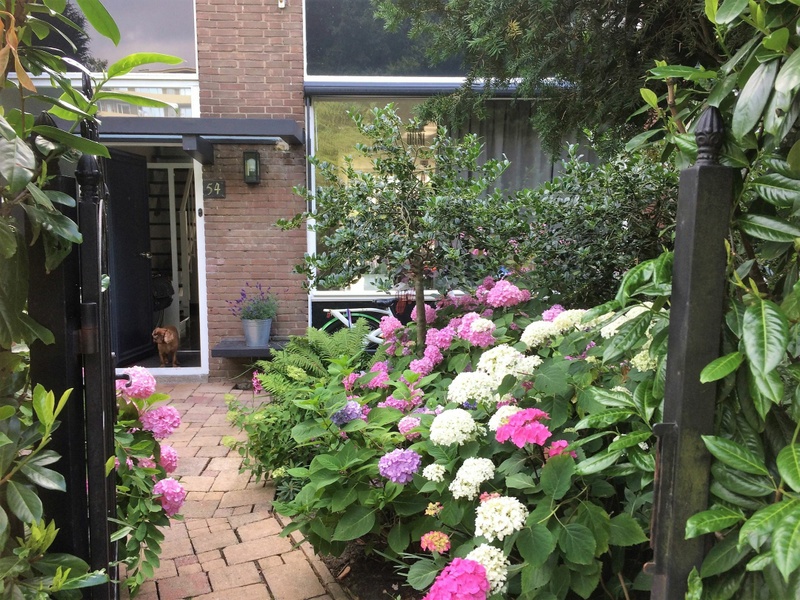 Afbeeldingslocatie: https://tweakers.net/i/ssvF_HaeZKUzgL_sjWlWuPR5XOw=/800x/filters:strip_icc():strip_exif()/f/image/QblAGgUcdQwSwFMpbCayLr1m.jpg?f=fotoalbum_large