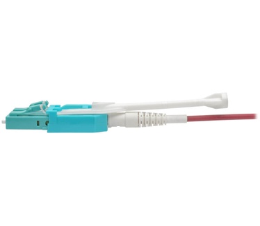 Tripp-Lite N821-06M-MG-T