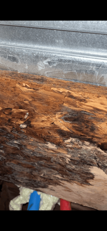 Afbeeldingslocatie: https://tweakers.net/i/swSHS9jan2IQduU6GRaFDMLtxWs=/x800/filters:strip_exif()/f/image/KnDU17YTOblj3K5hfrRdbwXJ.png?f=fotoalbum_large