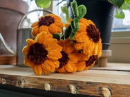 Xiaomi 17 Ultra - 12MP RAW