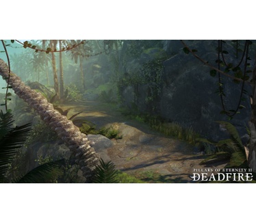 Pillars of Eternity II: Deadfire