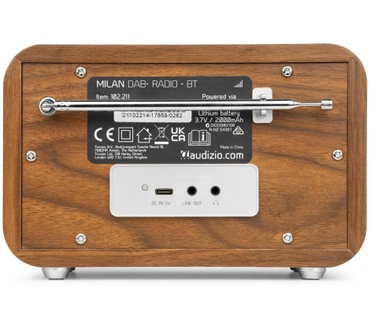 Audizio Milan