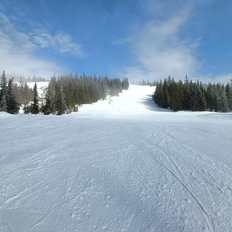 Afbeeldingslocatie: https://tweakers.net/i/t6XImzBhS7bhie9JEnsGR3jItaQ=/232x232/filters:strip_icc():strip_exif()/f/image/FcONBdUq4zqR6pFGszL2f8kx.jpg?f=fotoalbum_tile