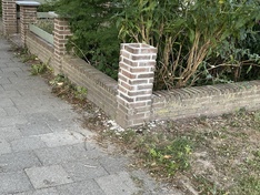Afbeeldingslocatie: https://tweakers.net/i/t7qznWVpGXljB_R8VDjcnWSPSYo=/234x176/filters:strip_icc():strip_exif()/f/image/ocG5rdDHOcpmmMttNIUNgbt1.jpg?f=fotoalbum_medium