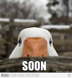 Afbeeldingslocatie: https://tweakers.net/i/t87Cyrn6cA2z9gwFdX1B5YN2wvs=/full-fit-in/4920x3264/filters:max_bytes(3145728):no_upscale():strip_icc():fill(white):strip_exif()/f/image/teCcYLL7AYCoxIWnAN70lpsA.jpg?f=user_large