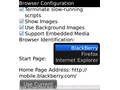 Blackberry Pearl 3G 9105 - screenshot