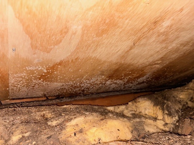 Afbeeldingslocatie: https://tweakers.net/i/tAhldRyugclUGf49U_fLBPZzYNg=/fit-in/4920x3264/filters:max_bytes(3145728):no_upscale():strip_icc():strip_exif()/f/image/x7vasQR9hiAFM51CUW7MJki8.jpg?f=user_large