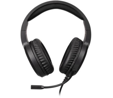 Acer NHW310