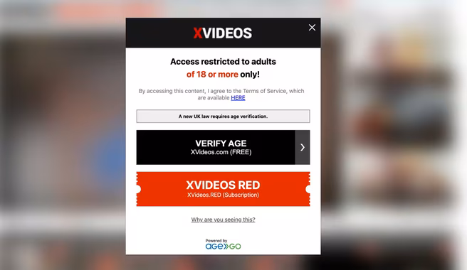 Xvideos leeftijdscontrole