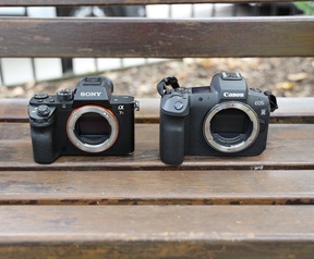 De Sony A7R II in vergelijking met de EOS R