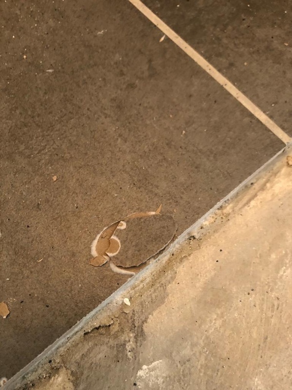 Afbeeldingslocatie: https://tweakers.net/i/tJ5_XHuEQxNhvQ_YbcG7ezeCfRU=/x800/filters:strip_icc():strip_exif()/f/image/umtGZQcje4U3pMnvsSHlv7bv.jpg?f=fotoalbum_large