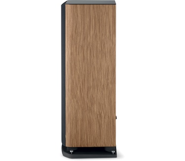 Focal Aria Evo X N°4 - Walnut