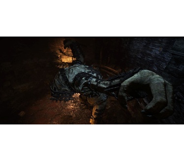 Dragon's Dogma: Dark Arisen, Switch