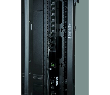 Tripp-Lite SRX42UBDPEXP