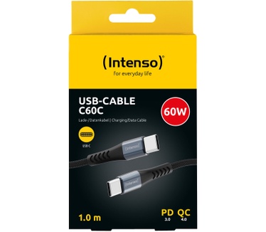 Intenso 7900600
