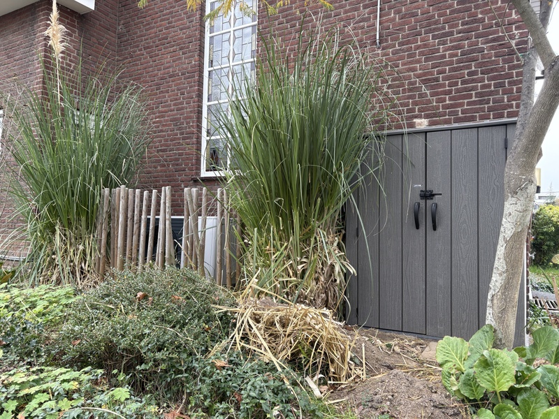 Afbeeldingslocatie: https://tweakers.net/i/tMV-xgz3LTu-IjHjC1RntlwAgHo=/800x/filters:strip_icc():strip_exif()/f/image/tqjscRmQtcLonSdwWOPnyinJ.jpg?f=fotoalbum_large