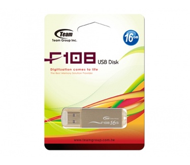 Team Group F108 16GB Bruin