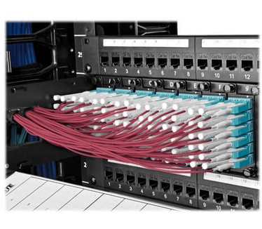 Tripp-Lite N845-02M-8L-MG Blauw, Zwart