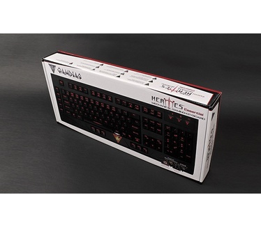 Gamdias Hermes Essential Mechanical Keyboard