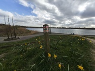 Phone 4a Pro cameratest - Ultragroothoek