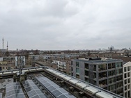 OnePlus 11 Cameratest - Hoofdcamera - Dagfoto's