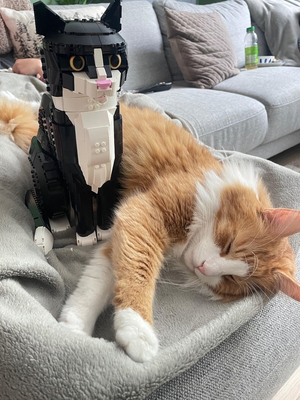 Afbeeldingslocatie: https://tweakers.net/i/tWrYJyvb_2UOT6N70wLOwEoSWdQ=/fit-in/4920x3264/filters:max_bytes(3145728):no_upscale():strip_icc():strip_exif()/f/image/zx3KVZENDooSACbg7dPoyKfl.jpg?f=user_large