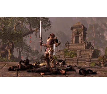 The Elder Scrolls Online, PS4