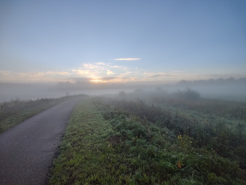 Afbeeldingslocatie: https://tweakers.net/i/tZ2Qh3M6FI147glk3Keo7hAJQso=/800x/filters:strip_icc():strip_exif()/f/image/EGmWg4YkrJ5JgFJCOA0IuauD.jpg?f=fotoalbum_large