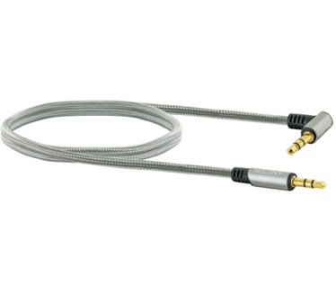 Schwaiger AIAU2010 413