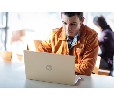HP Pavilion 14-ce0971nd