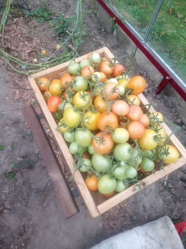 Afbeeldingslocatie: https://tweakers.net/i/teM-2lZcMddx7h1Gx2XSfBBE0gI=/x800/filters:strip_icc():strip_exif()/f/image/vFdKYhTtaEw2Kbz3YYkPXhRG.jpg?f=fotoalbum_large