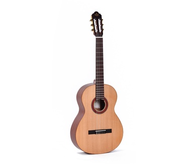 Sigma Guitars CM-2