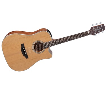 Takamine GD20CE-NS