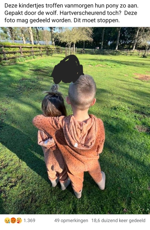 Afbeeldingslocatie: https://tweakers.net/i/tkUR29fNXQDlw4wYHiZJBWecLSY=/x800/filters:strip_icc():strip_exif()/f/image/hhBFGvMoTJ1MWuIbgVxpiu0x.jpg?f=fotoalbum_large