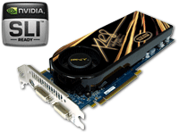PNY GTS 250 1024MB PCIe