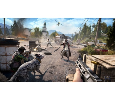 Far Cry 5, PlayStation 4