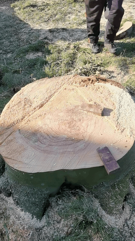 Afbeeldingslocatie: https://tweakers.net/i/tuUxcJzbXMRAtpTTaxSKXf60LKc=/x800/filters:strip_exif()/f/image/kukIKgbtvyv4hUriRcJvETG3.png?f=fotoalbum_large