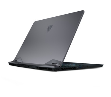 MSI GE66 Raider 10SFS GE66 Raider 10SFS-297NL