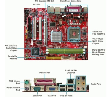 MSI P4M900M3-L