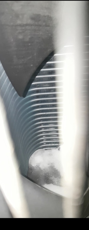 Afbeeldingslocatie: https://tweakers.net/i/u-aiJRyOdFvks97vg-0OgSING2c=/x800/filters:strip_icc():strip_exif()/f/image/qNVuu0IbUL2LqUH8yvcsQ5rR.jpg?f=fotoalbum_large