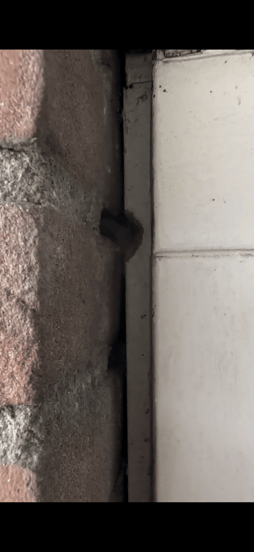 Afbeeldingslocatie: https://tweakers.net/i/u2l3Ea1JPxzB-c3GgEE2iYQ7jWo=/x800/filters:strip_exif()/f/image/s7KxuuDHOU4xV2eacNTaDfnB.png?f=fotoalbum_large