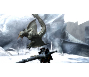 Monster Hunter Tri