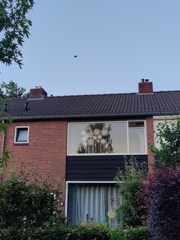 Afbeeldingslocatie: https://tweakers.net/i/u3sy-85dFrF_3dLxV_bwYNnFIiA=/x800/filters:strip_icc():strip_exif()/f/image/eSuPFJdRZvNCWh629Qg99TVW.jpg?f=fotoalbum_large