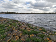 Phone 4a Pro cameratest - Hoofdcamera