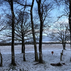 Afbeeldingslocatie: https://tweakers.net/i/u6GDxIPpAzcmElGcvEvaxH6LM_o=/232x232/filters:strip_icc():strip_exif()/f/image/aHoiI8N2x1Zx1HwCQHvr5k1v.jpg?f=fotoalbum_tile