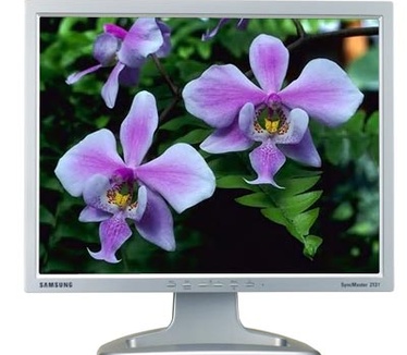 Samsung SyncMaster 213T