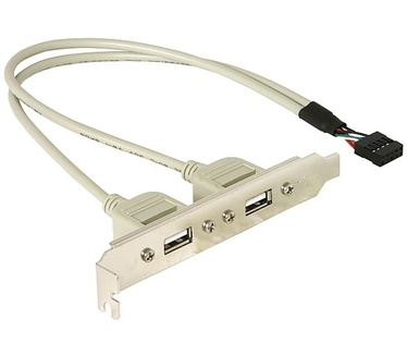 Delock Slotbracket 1x internal USB 5pin > 2x USB2.0 external