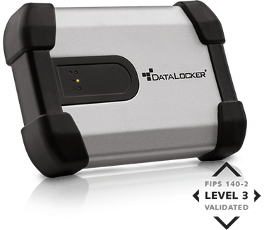 DataLocker H100 500GB Grijs