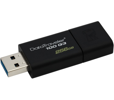 Kingston 100 G3 256GB